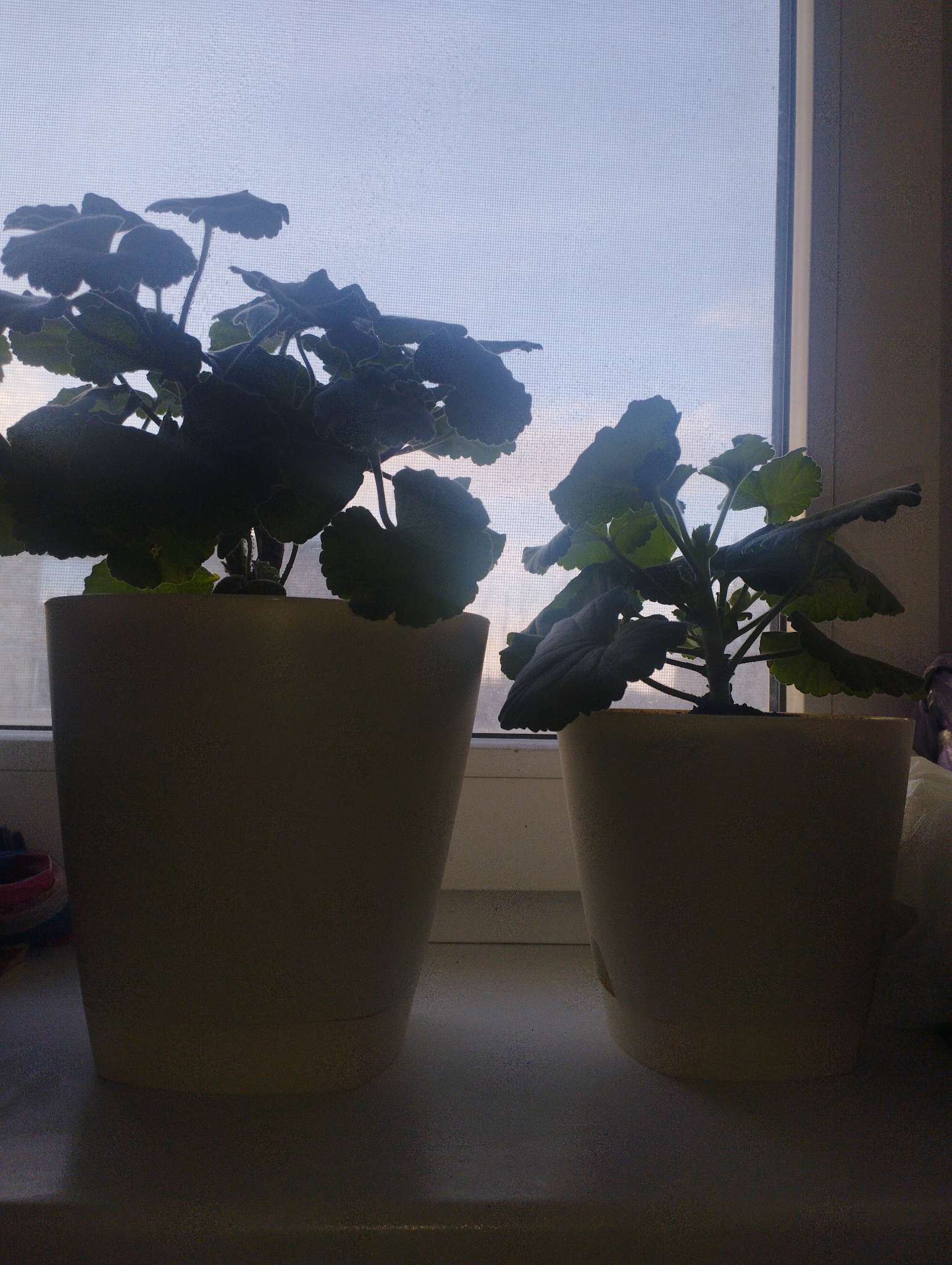 Фотография покупателя товара Горшок для цветов с прикорневым поливом Amsterdam, 2.5 л, цвет молочный шоколад - Фото 1