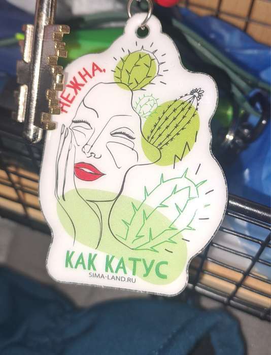 Фотография покупателя товара Брелок для ключей на кольце «Нежна, как кактус», мягкий ПВХ, 4.5×6.5 см - Фото 1