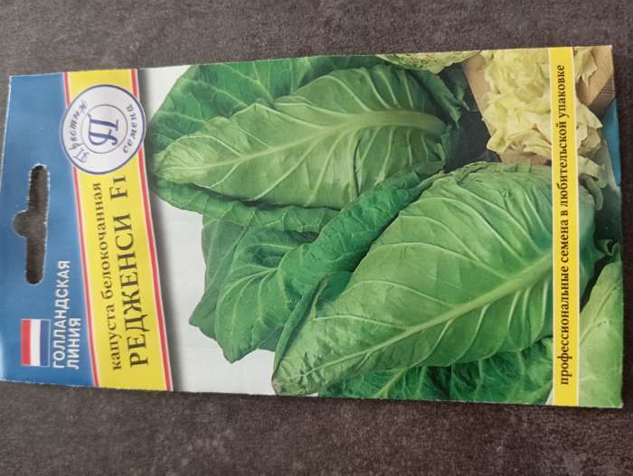 Фотография покупателя товара Семена Капуста белокочанная «Редженси», F1, 7 шт., «Престиж семена» - Фото 1