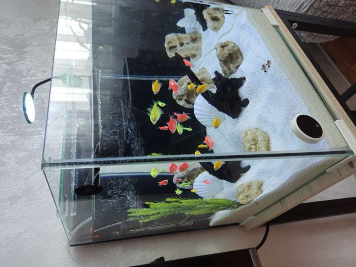 Фотография покупателя товара Аквариум «Куб», покровное стекло, 50 л, 35×35×40 см, белые уголки - Фото 2