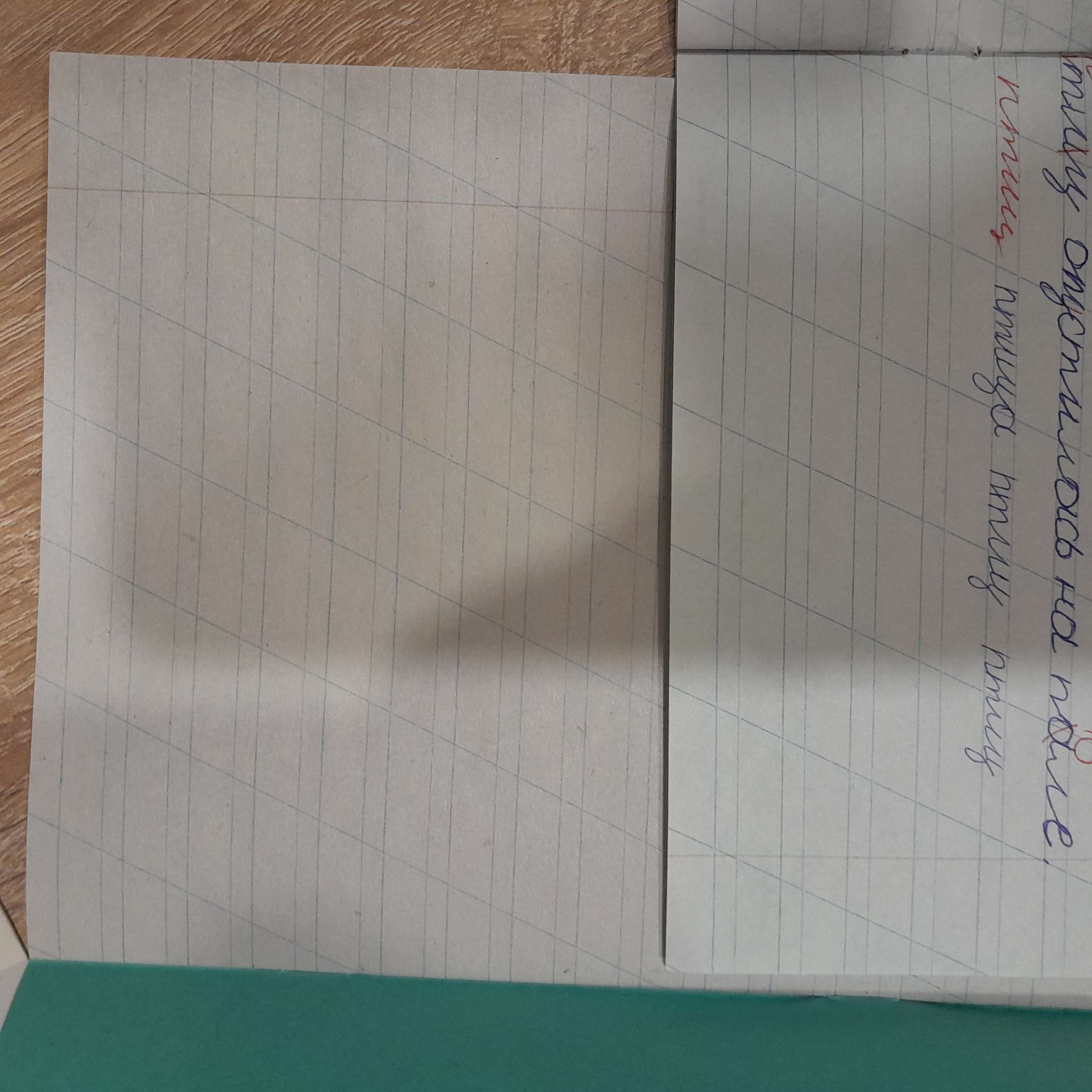 Фотография покупателя товара Набор тетрадей «Зелёная обложка» 10 штук, 12 листов в косую линейку, эконом, плотность 60 г/м² - Фото 31