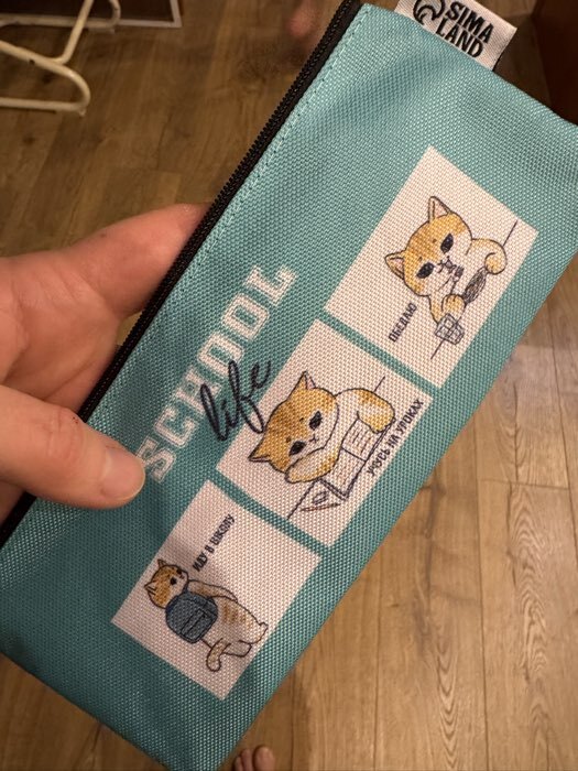 Фотография покупателя товара Пенал школьный, текстиль, плоский, 20×8 см «Котик в школе» - Фото 9