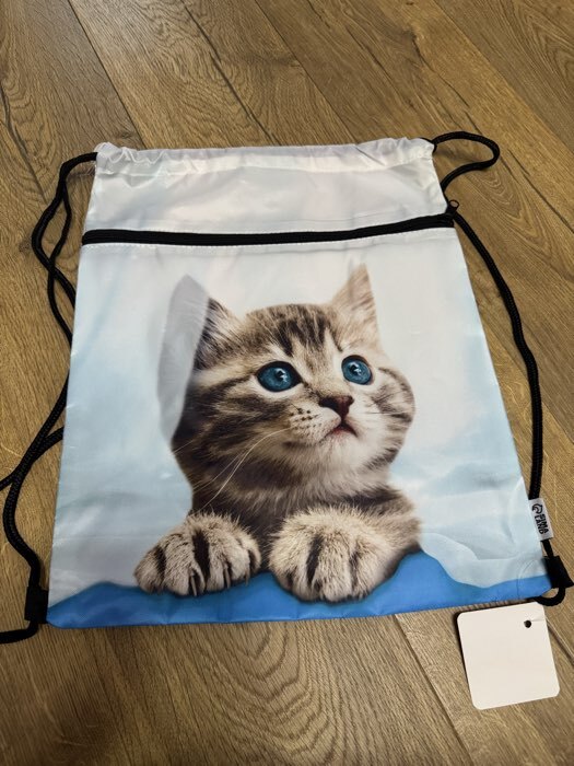 Фотография покупателя товара Мешок для обуви «Милый котик» (с карманом) 41×31 см - Фото 1