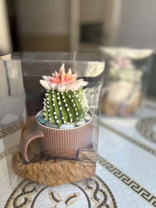 Фотография покупателя товара Складная коробка из PVC 10×10×10 см - Фото 1