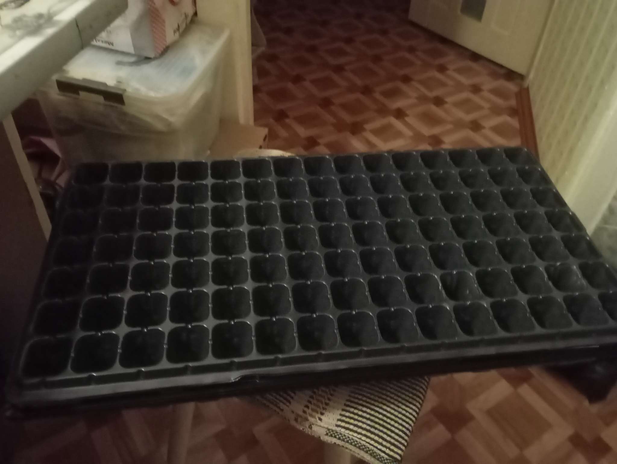 Фотография покупателя товара Поддон для гидропоники, с отверстиями, 55×30×5.6 см, пластик, Greengo - Фото 2