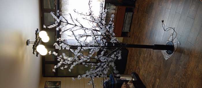 Фотография покупателя товара Светодиодное дерево «Баугиния» 2 м, 864 LED, 220 В, свечение мульти (RGB) - Фото 1