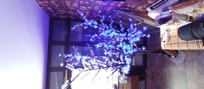 Фотография покупателя товара Светодиодное дерево «Баугиния» 2 м, 864 LED, 220 В, свечение мульти (RGB) - Фото 3