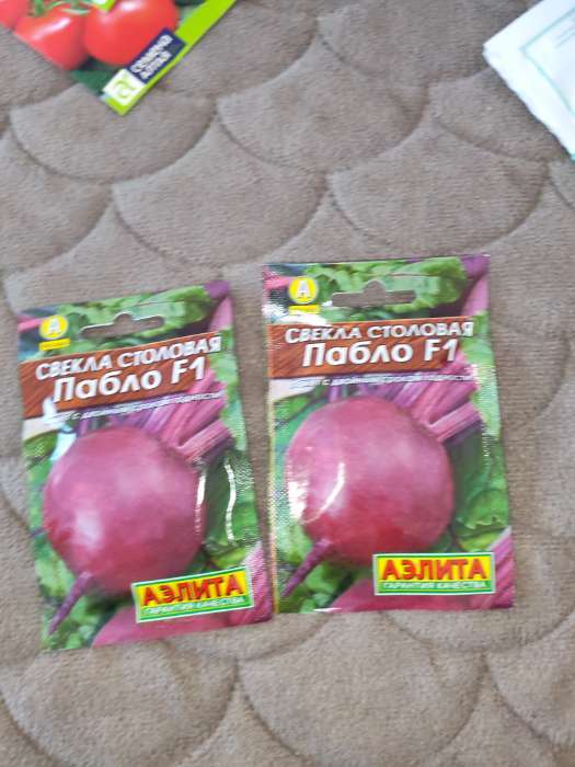 Фотография покупателя товара Семена Свекла столовая «Пабло», F1, 1 г, «Аэлита» - Фото 1