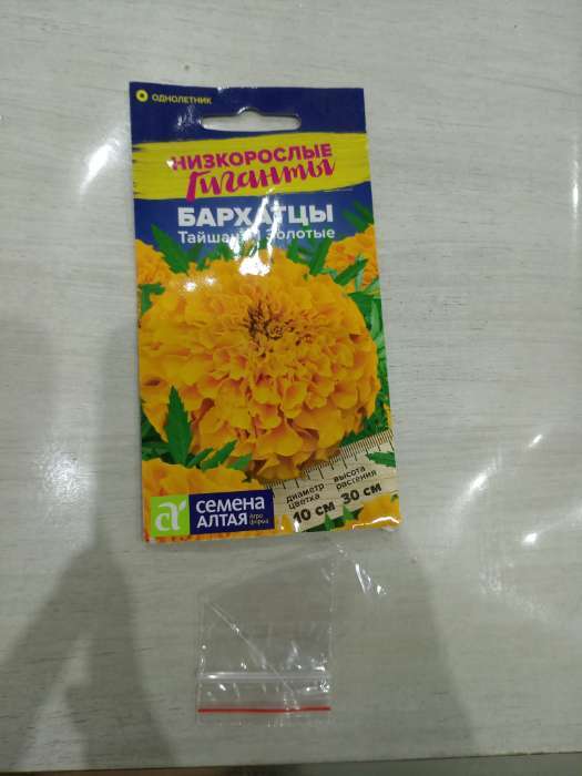 Фотография покупателя товара Семена цветов Бархатцы «Тайшан», золотые, Сем. Алт, ц/п, 5 шт. - Фото 1