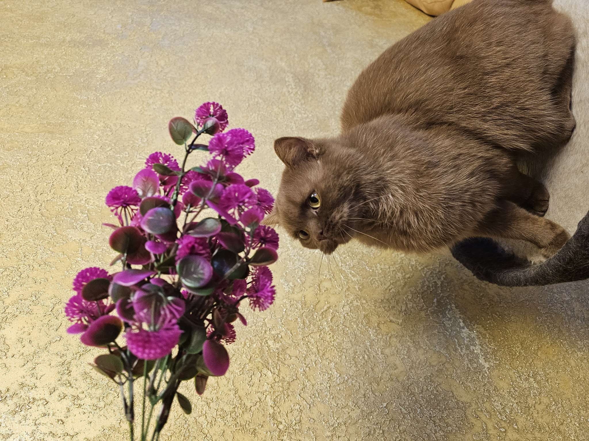 Фотография покупателя товара Букет искусственный «Одуванчик галант», h=30 см, МИКС - Фото 1