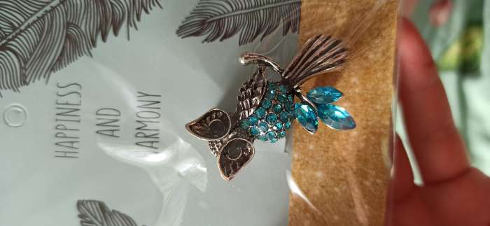 Фотография покупателя товара Брошь «Сова на ветке», цвет голубой в чернёном серебре