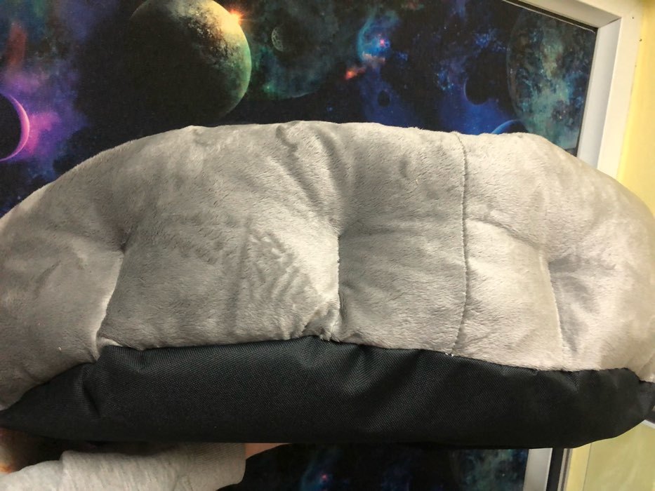 Фотография покупателя товара Лежанка меховая "Коала" овальная с подушкой, 62 х 50 х 19 см, серая - Фото 3