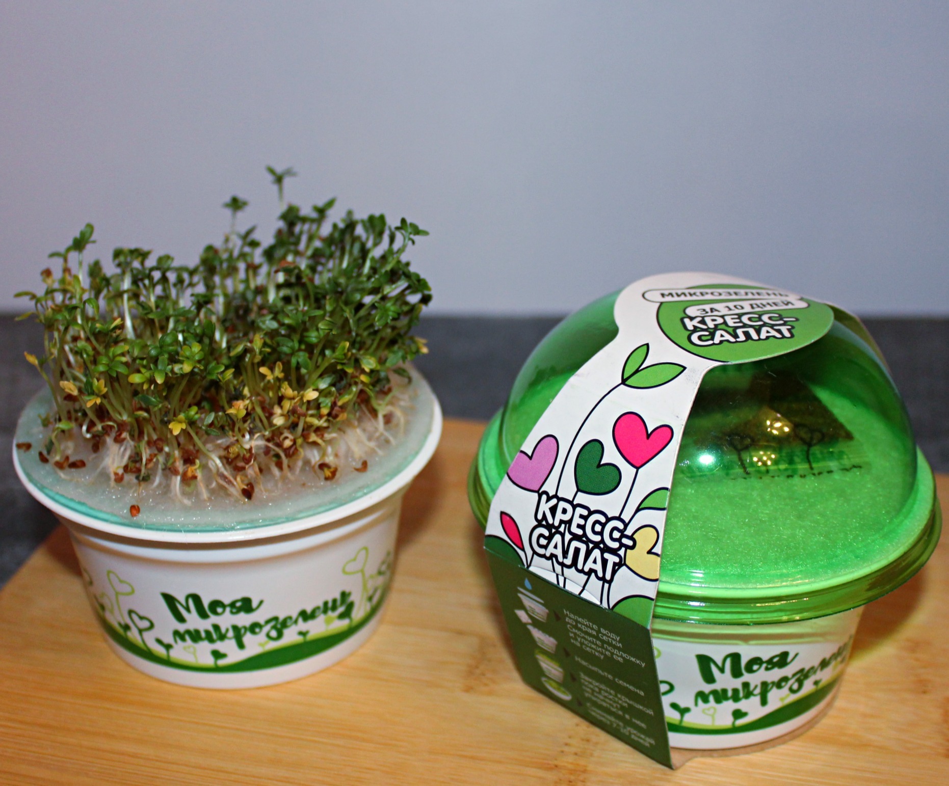 Фотография покупателя товара Набор для выращивания «Моя микрозелень», кресс-салат - Фото 1