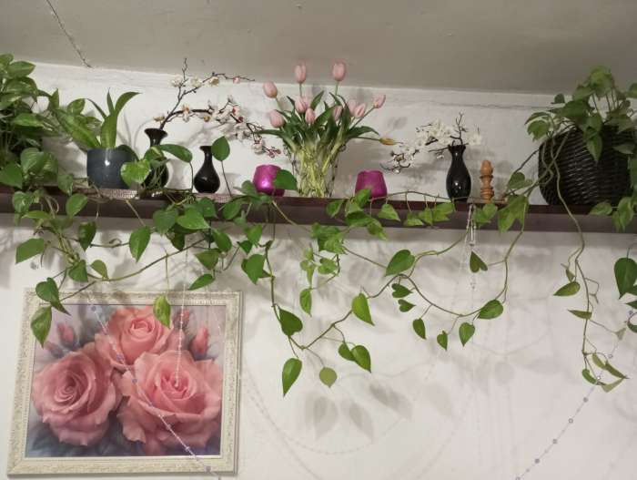 Фотография покупателя товара Цветы искусственные «Ветка сакуры», 3×60 см, розовые - Фото 2