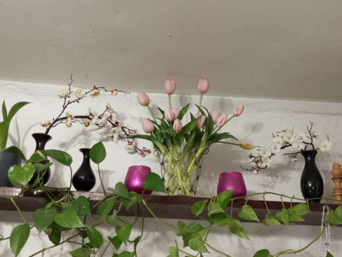 Фотография покупателя товара Цветы искусственные «Ветка сакуры», 3×60 см, розовые - Фото 1