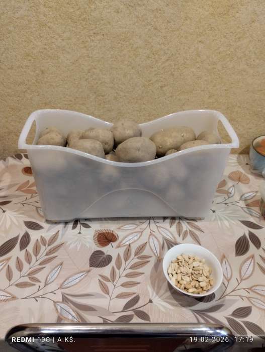 Фотография покупателя товара Контейнер для хранения Альт-Пласт, 10 л, пластик, 46×16×23.5 см, на колесиках, прозрачный - Фото 3