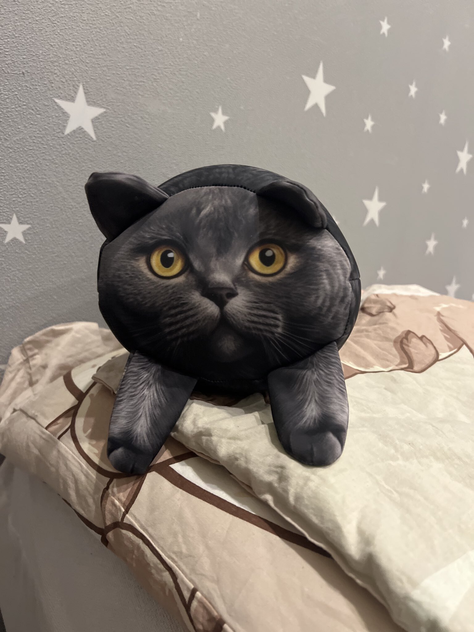 Фотография покупателя товара Подушка антистресс кот «Британец» - Фото 1