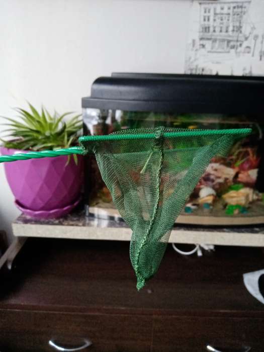 Фотография покупателя товара Сачок аквариумный 10 см, зелёный - Фото 8