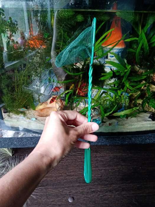Фотография покупателя товара Сачок аквариумный 10 см, зелёный - Фото 5