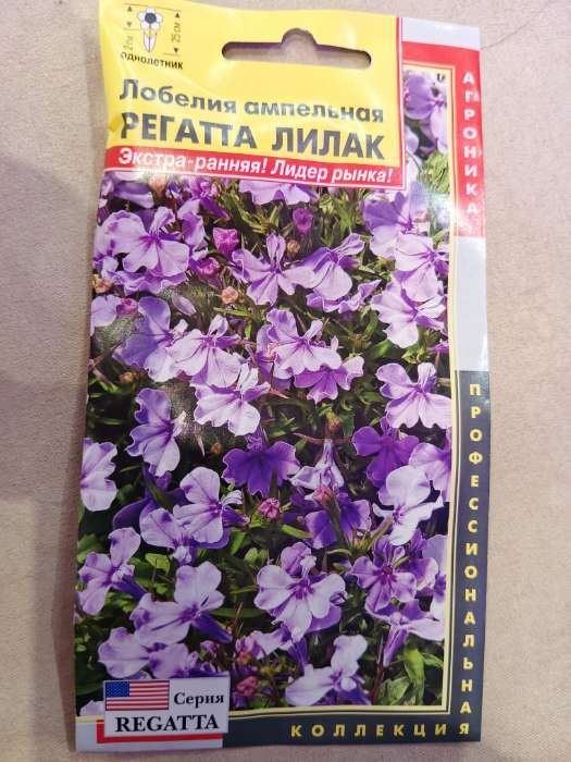 Фотография покупателя товара Семена цветов Лобелия ампельная «Регатта Лилак», драже, 8 шт., однолетник, «Агроника» - Фото 3