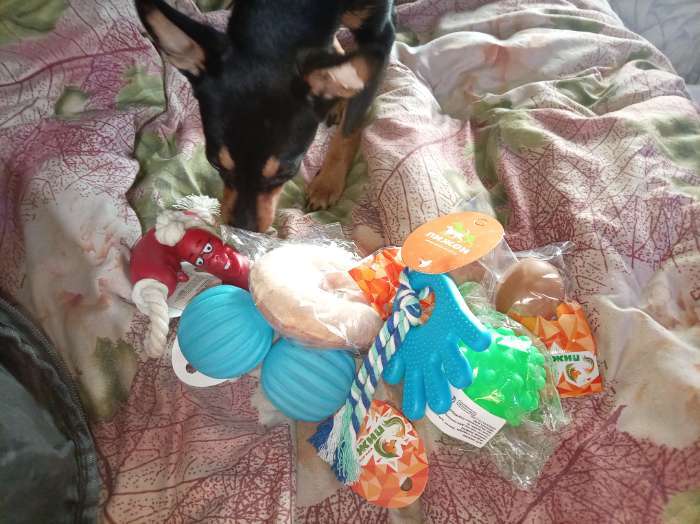 Фотография покупателя товара Игрушка жевательная для собак «Ладошка», 10 см, с канатом, салатовая - Фото 3