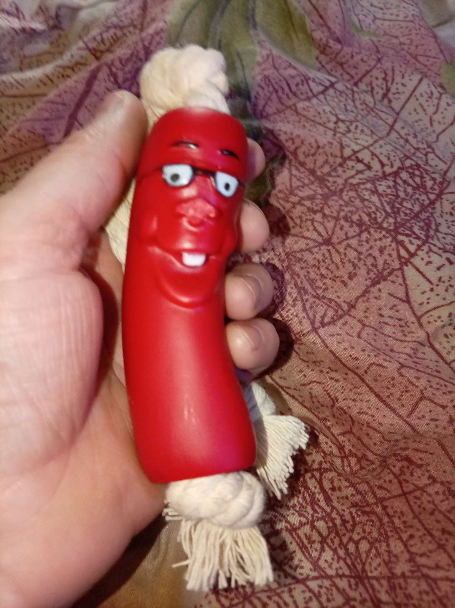 Фотография покупателя товара Игрушка для собак «Весёлая сосиска на верёвке», 14 см - Фото 1