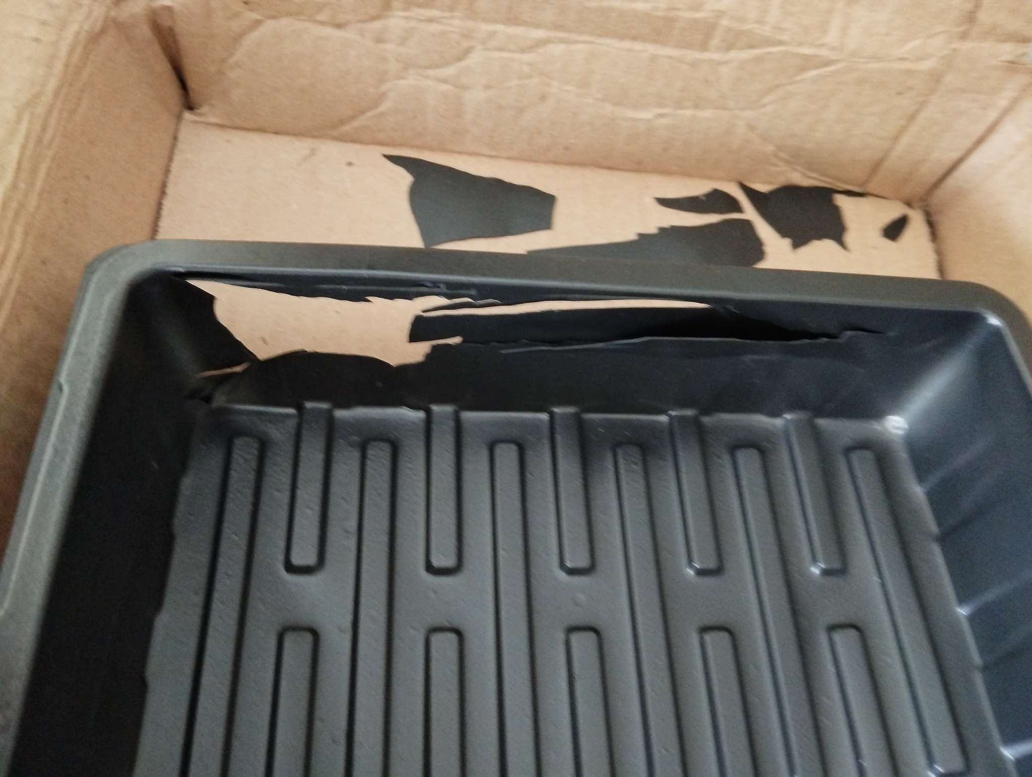 Фотография покупателя товара Поддон для рассады, 55×30×5.6 см, пластик, чёрный, дно МИКС, Greengo - Фото 42