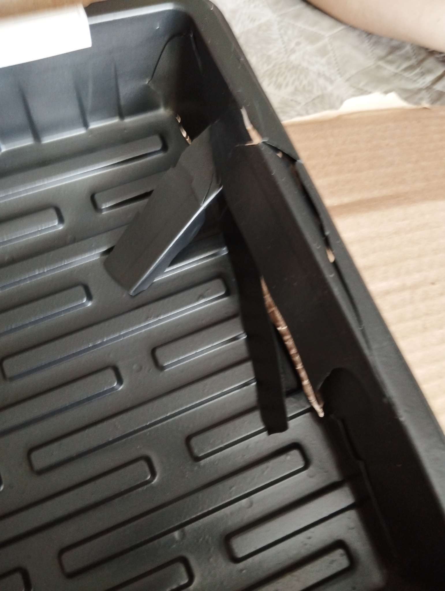 Фотография покупателя товара Поддон для рассады, 55×30×5.6 см, пластик, чёрный, дно МИКС, Greengo - Фото 43