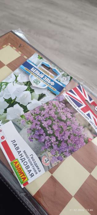 Фотография покупателя товара Семена цветов Гвоздика многолетняя лавандовая, 0,05 г - Фото 3