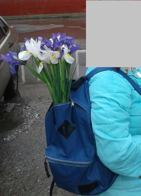 Фотография покупателя товара Рюкзак молодёжный на молнии, наружный карман, цвет синий