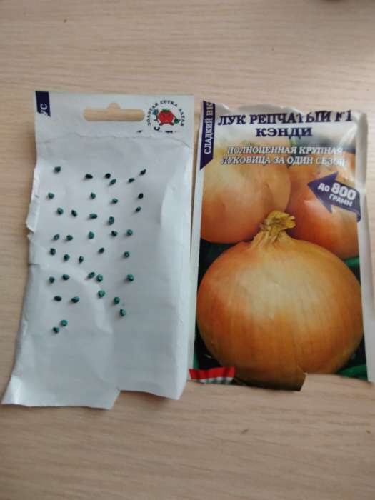 Фотография покупателя товара Семена Лук репчатый «Кэнди», F1, 0.2 г, «Золотая Сотка Алтая» - Фото 1