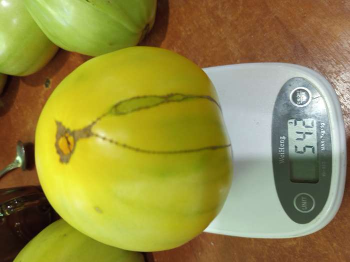 Фотография покупателя товара Семена Томат «Ваше Величество», среднеспелый, индетерминантный, высокорослый, 0.05 г, «Семена Алтая» - Фото 2