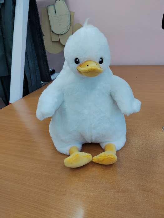 Фотография покупателя товара Мягкая игрушка без наполнителя «Гусь», 48 см - Фото 2