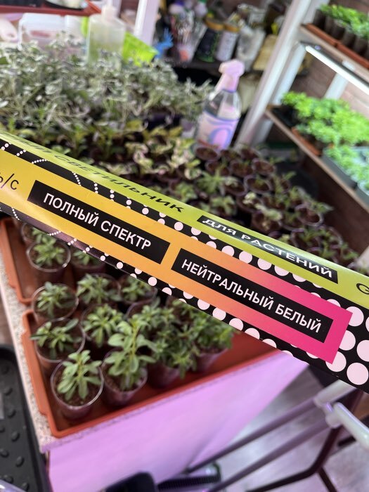 Фотография покупателя товара Фитосветильник светодиодный Luazon, 36 Вт, 1200 мм, IP40, 220 В, полноспектральный - Фото 5