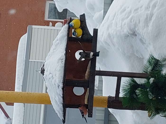Фотография покупателя товара Подвесной декор "Снегири на ветке" 15х12х12см - Фото 8