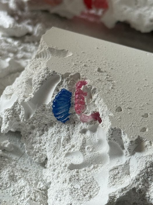 Фотография покупателя товара Раскопки Десятое Королевство «Юного археолога», 19 артефактов - Фото 3