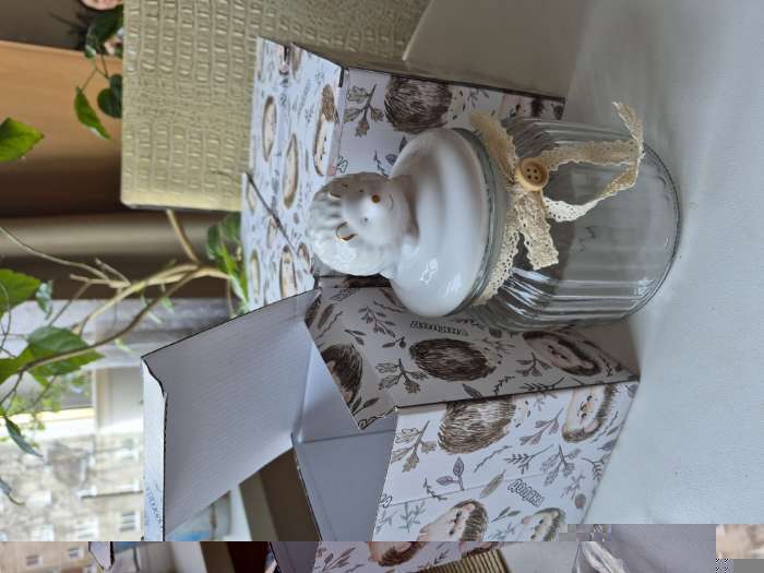 Фотография покупателя товара Банка для сыпучих Доляна «Ёжик в золотом», 230 мл, 7.8×15 см, с керамической крышкой, стекло, прозрачная - Фото 3