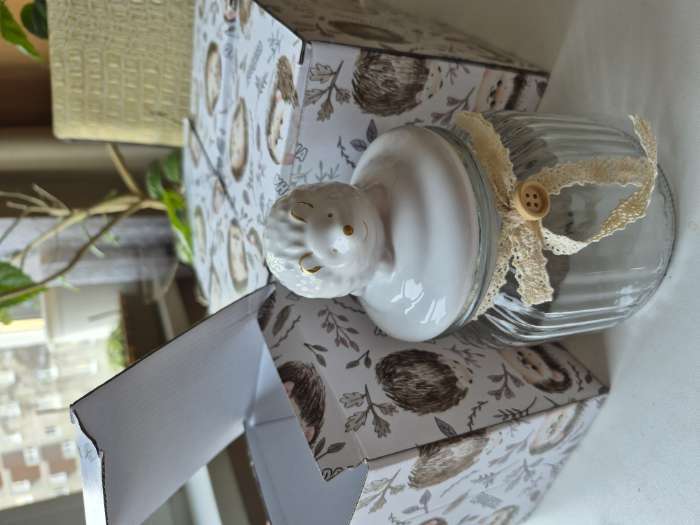 Фотография покупателя товара Банка для сыпучих Доляна «Ёжик в золотом», 230 мл, 7.8×15 см, с керамической крышкой, стекло, прозрачная - Фото 4