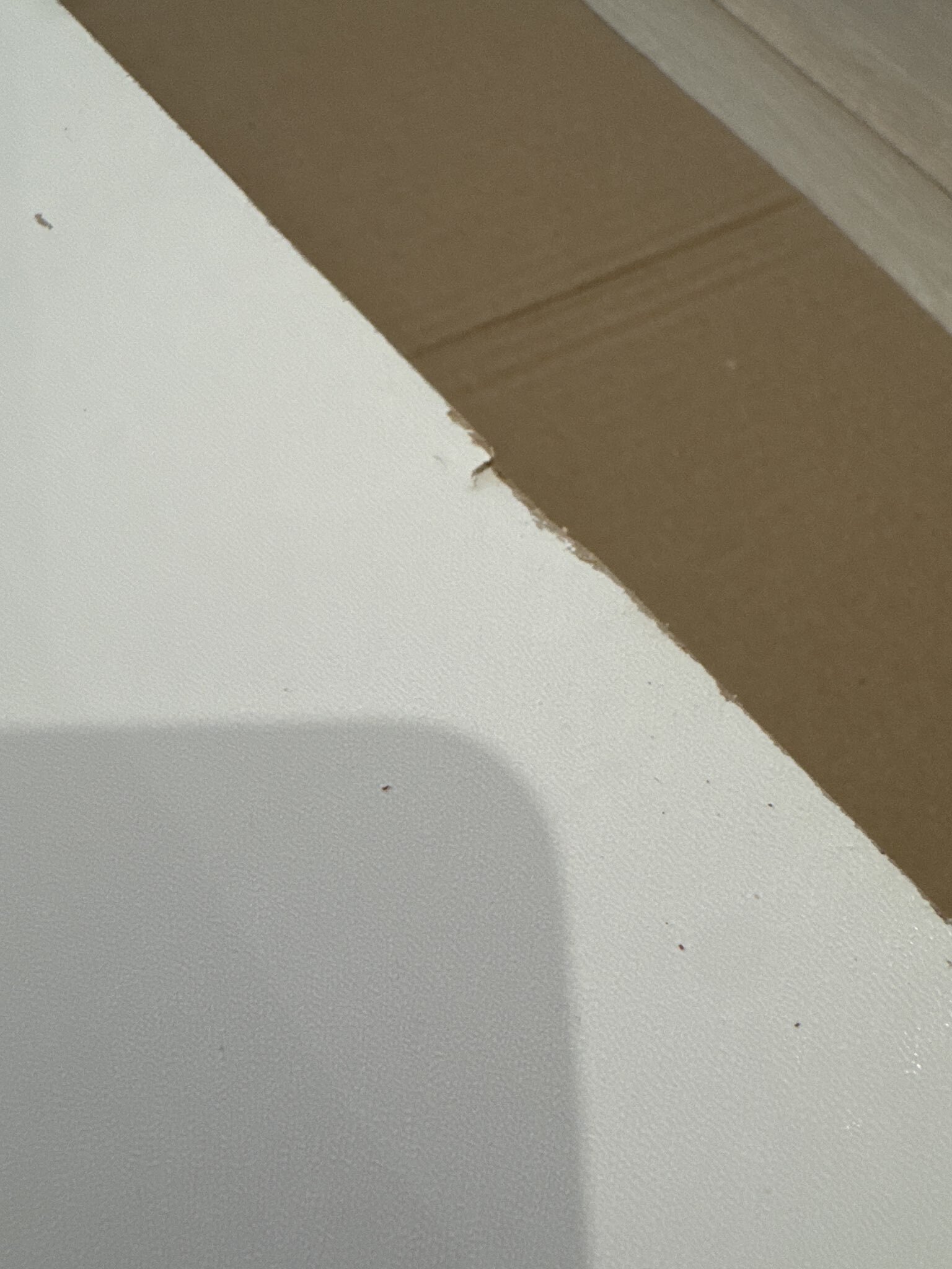 Фотография покупателя товара Шкаф – пенал «Клик Мебель. Мико», с полками, 440×420×2050 мм, цвет белый бриллиант/бетон - Фото 5