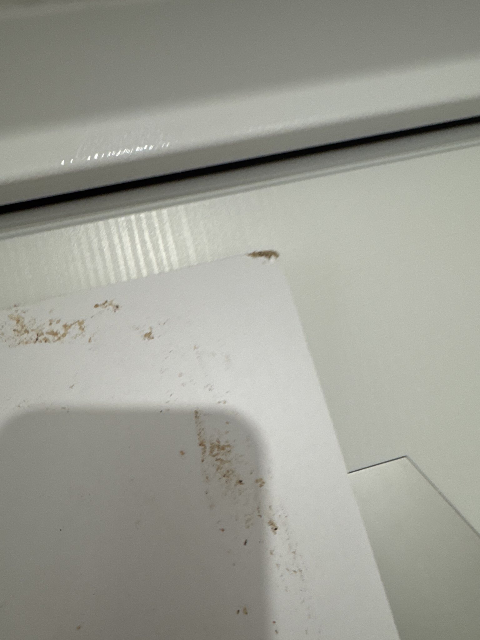 Фотография покупателя товара Шкаф – пенал «Клик Мебель. Мико», с полками, 440×420×2050 мм, цвет белый бриллиант/бетон - Фото 8