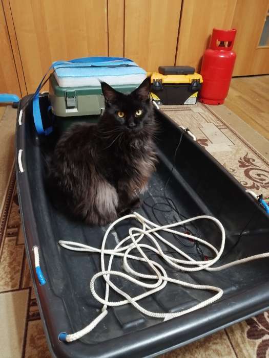 Фотография покупателя товара Сани рыбацкие YUGANA "С-2/1" 840×460×200 мм - Фото 1