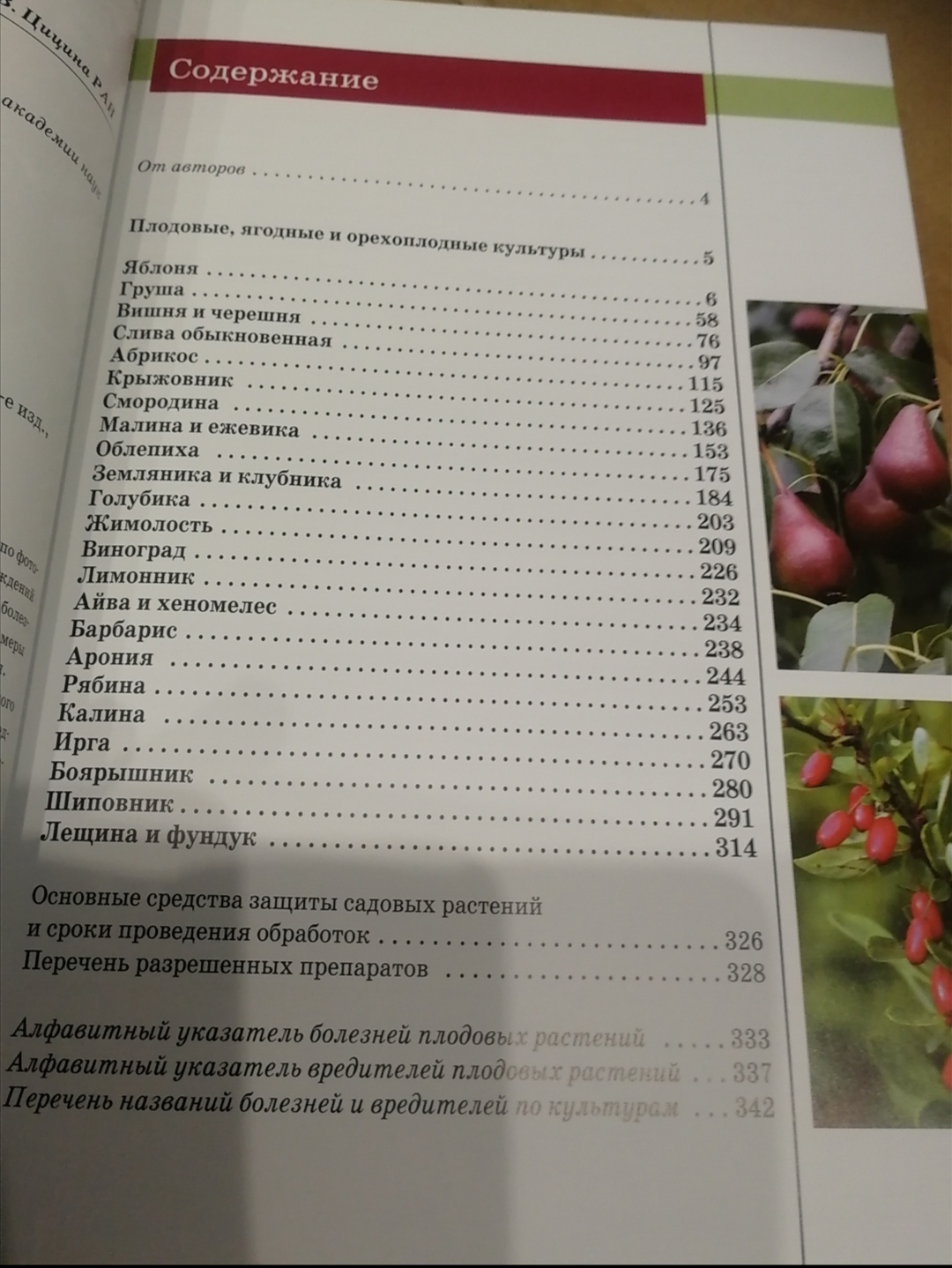 Болезни и вредители плодовых растений. Трейвас Л., Каштанова О. (7091981) -  Купить по цене от 1 478.00 руб. | Интернет магазин SIMA-LAND.RU