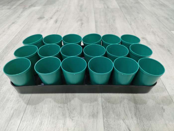 Фотография покупателя товара Набор для рассады: стаканы по 250 мл (18 шт.), поддон 40×20 см, цвет МИКС, Greengo - Фото 4