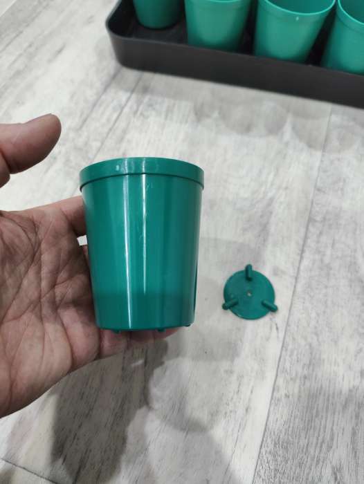 Фотография покупателя товара Набор для рассады: стаканы по 250 мл (18 шт.), поддон 40×20 см, цвет МИКС, Greengo - Фото 3