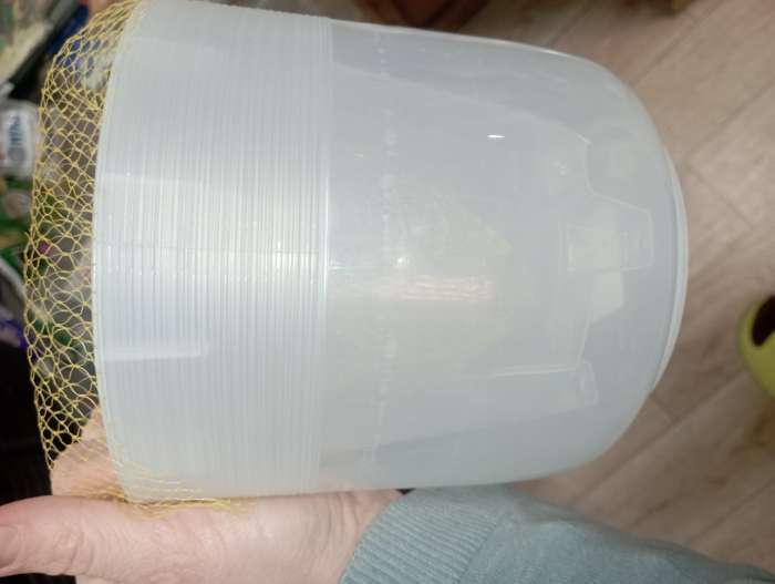 Фотография покупателя товара Кашпо для цветов со вставкой «Линель», 2.7 л, d=16 см, h=16 см, прозрачное - Фото 37