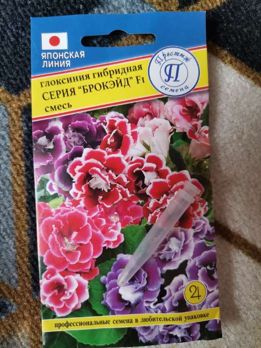 Фотография покупателя товара Семена цветов Глоксиния "Брокэйд", F1, 5 шт. - Фото 3
