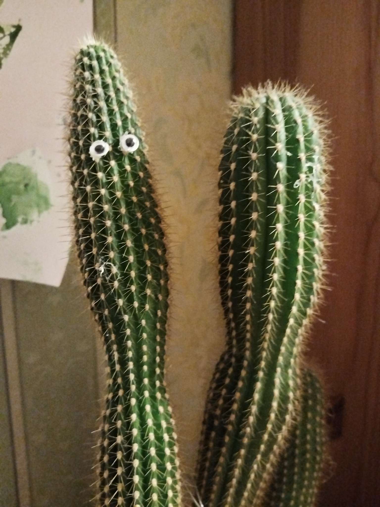 Фотография покупателя товара Набор пайеток «Макси глазки», 60 шт., размер 1 шт. — 1.2 см - Фото 1