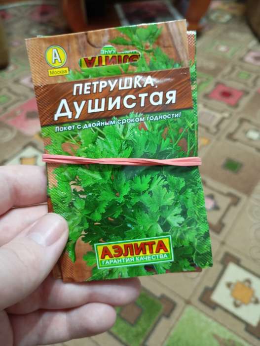 Фотография покупателя товара Семена Петрушка листовая «Душистая», 2 г, «Аэлита» - Фото 1