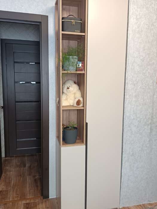 Фотография покупателя товара Шкаф – пенал «Чарли 5.2», правый, 651×350×2205 мм, цвет кашемир/авелано - Фото 3