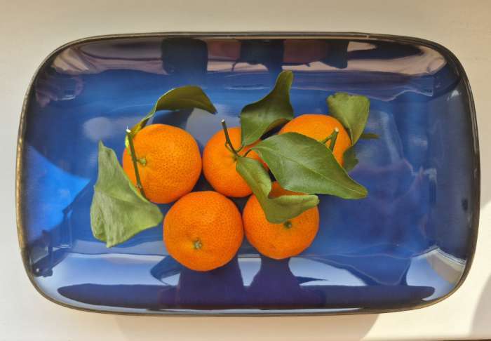 Фотография покупателя товара Блюдо керамическое прямоугольное «Лунная тропа», 19×11 см - Фото 3